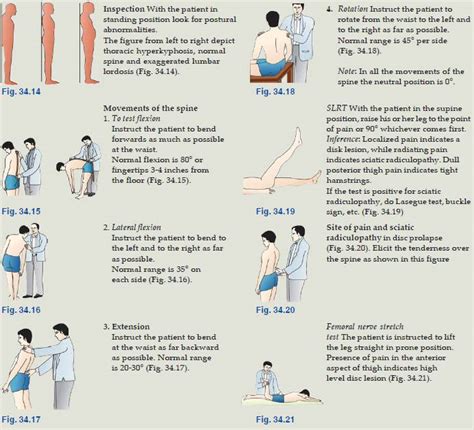 lower back pain assessment pdf